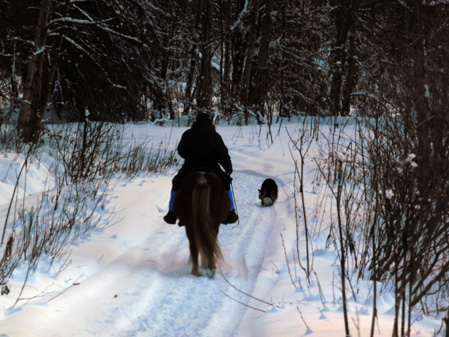 Alys and Raudi and Ryder head down the trail